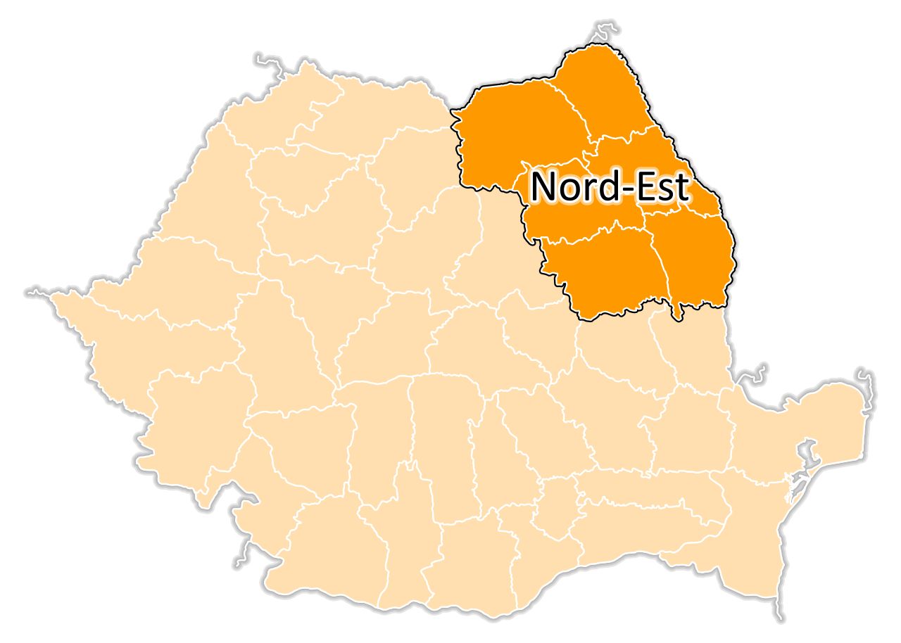 https://improvebusiness.ro/wp-content/uploads/2023/10/3.Programul-Regional-Nord-Est-Transformarea-digitala-a-IMM-urilor.jpeg